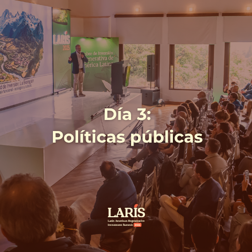 Día 3 - Políticas Públicas